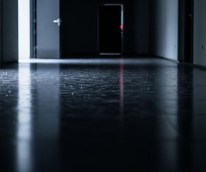 Groźny wirus atakuje koty w Warszawie. Co naprawdę zabija zwierzęta?