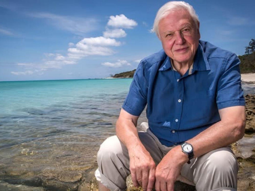 David Attenborough kończy 100 lat. Oto sekret jego energii i długowieczności