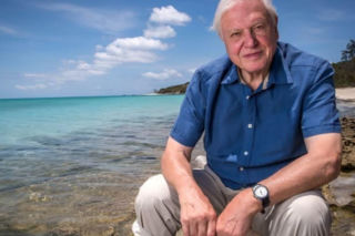 David Attenborough kończy 100 lat. Oto sekret jego energii i długowieczności