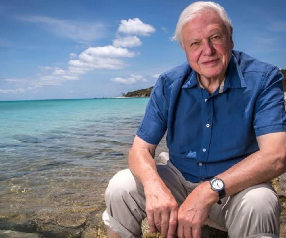 David Attenborough, brytyjski biolog i prezenter, siedzi na kamieniach tuż przy turkusowej wodzie. Ubrany w niebieską koszulę i beżowe spodnie, patrzy wprost na widza. Obok niego plaża i drzewa. Więcej o sekrecie jego długowieczności na Poradnik Zdrowie.