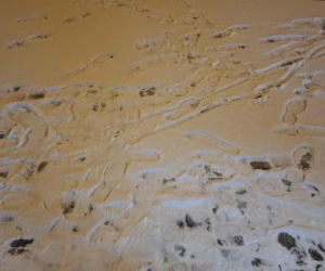  Droga zima. W Kaliszu na utrzymanie dróg wydano już grubo ponad 2 miliony złotych 