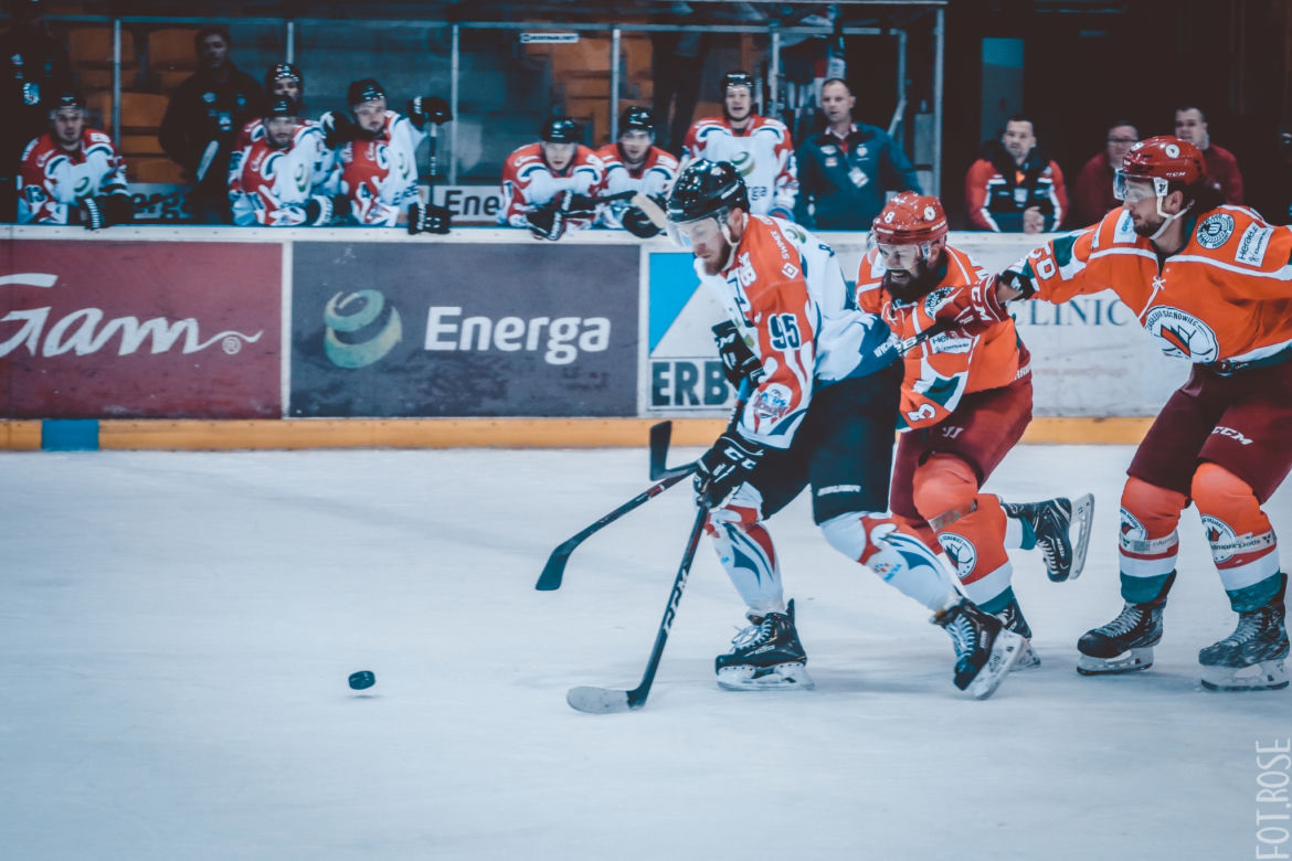 KH Energa Toruń - Zagłębie Sosnowiec 5:4 - zdjęcia z meczu
