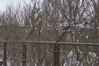 Nielegalne składowisko toksycznych odpadów w powiecie mińskim