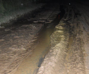 Błotna pułapka w miejscowości Błonie koło Tarnowa