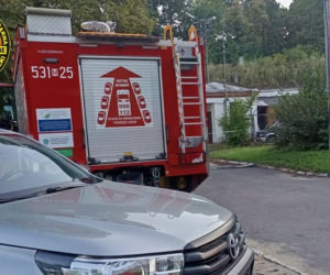 Zwłoki w Wiśle przy ujściu Narwi