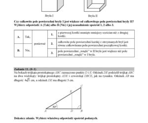 Egzamin ósmoklasisty 2019. Sprawdź przykładowe arkusze. Matematyka