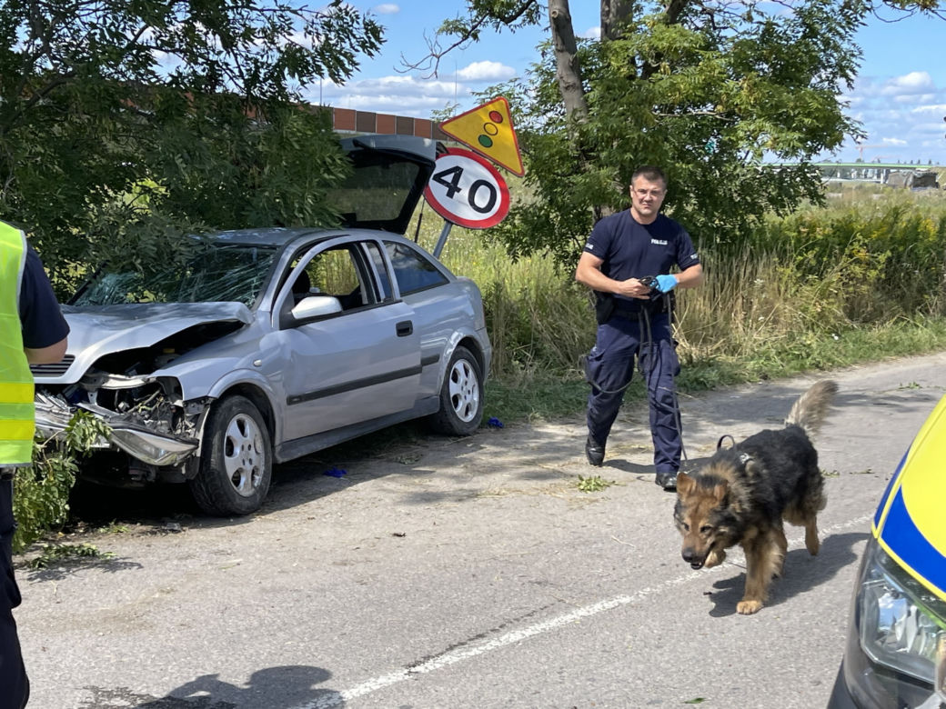 Rąbnął w drzewo, zostawił nieprzytomnego pasażera na pastwę losu.
