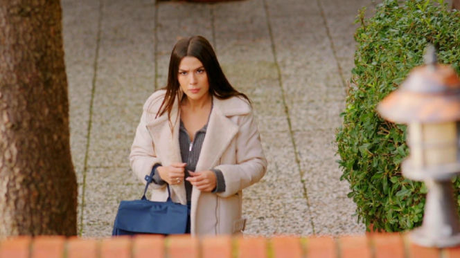 Miłość i nadzieja, odcinek 349. Zeynep