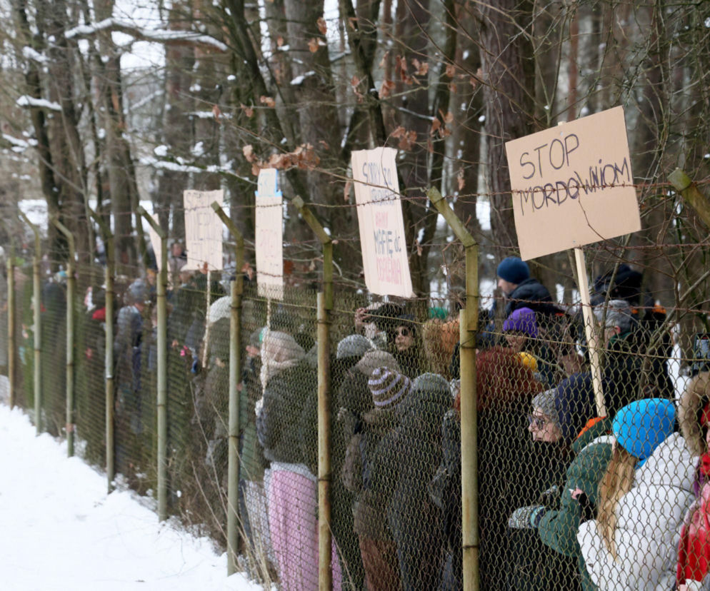 Oficjalna przyczyna zamknięcia schroniska w Sobolewie? Można się zdziwić