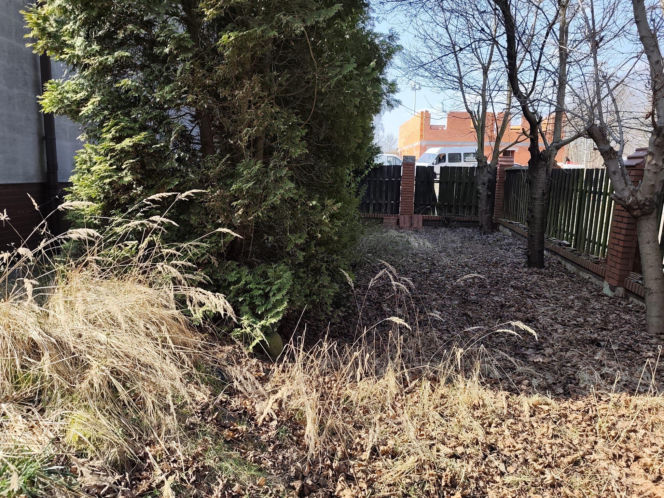 Upadek znanego prokuratora. Sukcesy, korupcja i śmierć. Jak zginął Jerzy Hop i jego syn? Nowe hipotezy szokują