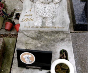 Cmentarz dla zwierząt