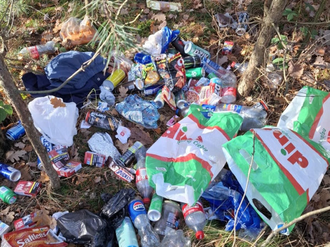 Śmieci w lesie
