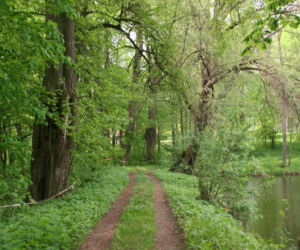 Ta wieś ma ponad 600 lat. Zachował się w niej wyjątkowy neogotycki pałac