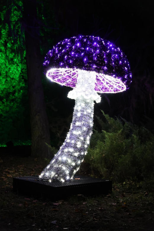 Lumina Park 2023 w Lublinie
