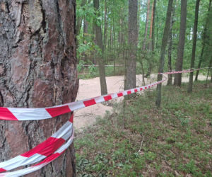 Tajemnicza maź zalała las pod Starachowicami. Policja i leśnicy badają sprawę