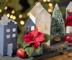 Mini gwiazda betlejemska