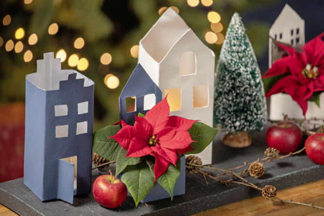 Mini gwiazda betlejemska