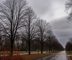 Pogoda Przemyśl 19.11.2025. Co czeka mieszkańców dziś wieczorem i jutro?