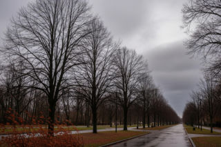 Pogoda Przemyśl 19.11.2025. Co czeka mieszkańców dziś wieczorem i jutro?