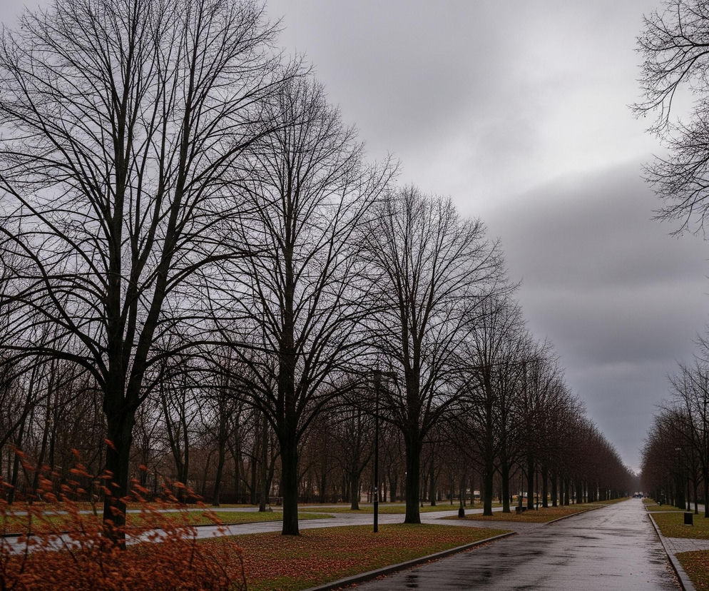 Aleja otoczona licznymi, nagimi drzewami o ciemnych konarach i gałęziach dominuje na zdjęciu, tworząc rzędy po obu stronach. Ścieżki i trawniki pokryte są opadłymi, rdzawymi liśćmi, a mokra nawierzchnia drogi odbija światło ponurego, szarego nieba. W dolnej lewej części kadru widoczne są rozmyte, intensywnie pomarańczowe krzewy, dodając ciepły akcent kolorystyczny do ogólnego chłodnego pejzażu.