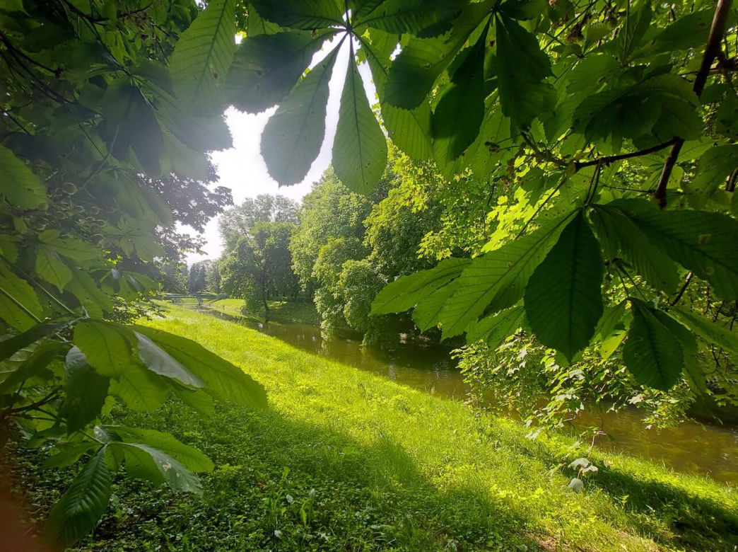 Park Miejski w Zamościu