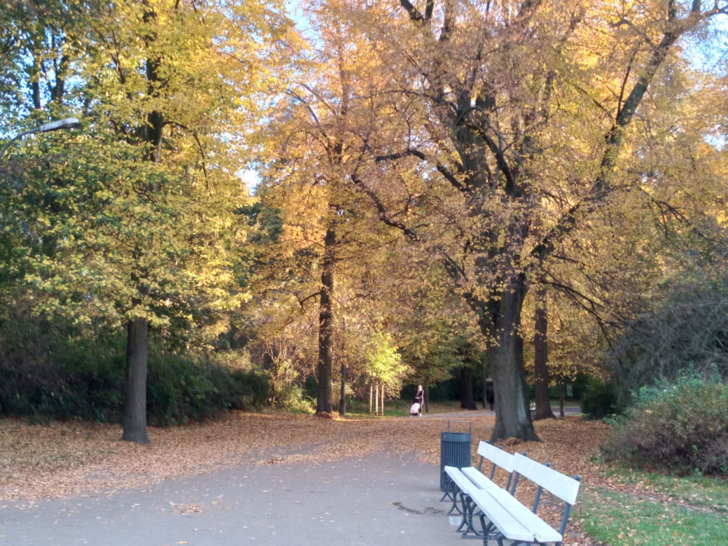Park Skaryszewski