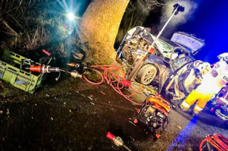 Na zakręcie pojechali prosto, ze sobą wieźli dwa duże psy. Czy któryś z nich ugryzł kierowcę?