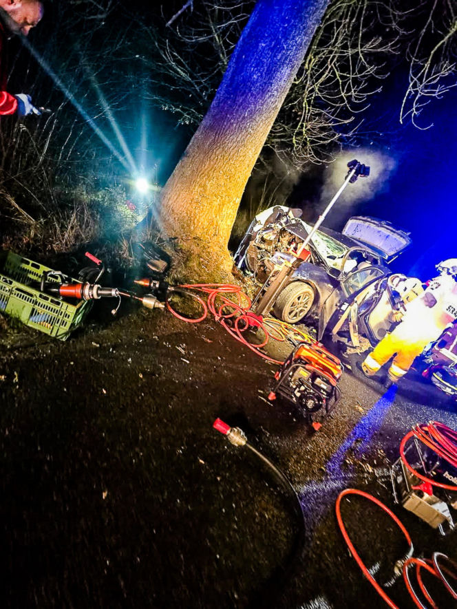 Na zakręcie pojechali prosto, ze sobą wieźli dwa duże psy. Czy któryś z nich ugryzł kierowcę?