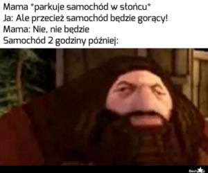 Memy o samochodach
