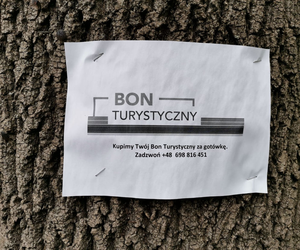 Bon turystyczny