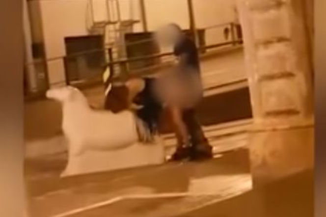 Uprawiali SEKS na pomniku kozy. NAGRANIE trafiło do sieci