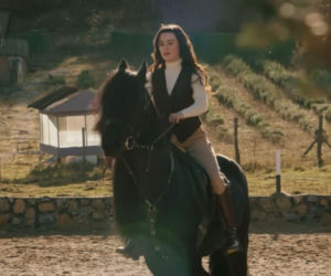 Wichrowe wzgórze odc. 345