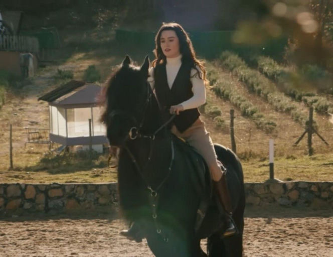 Wichrowe wzgórze odc. 345