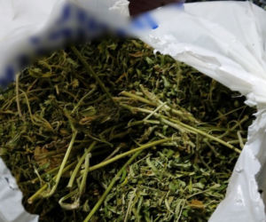 Kryminalni zabezpieczyli ponad 4 kilogramy marihuany