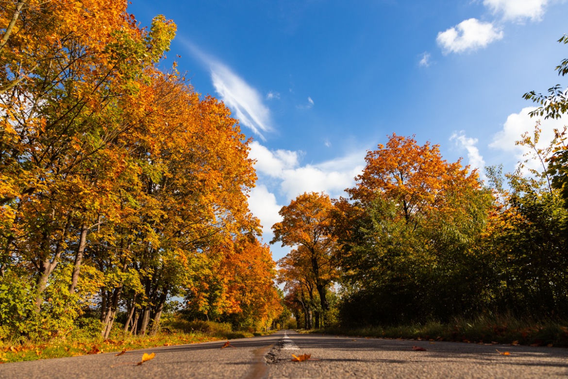 4. miejsce to Pyskowice