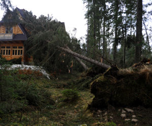 Halny w Tatrach. Połamane drzewa, uszkodzone domy