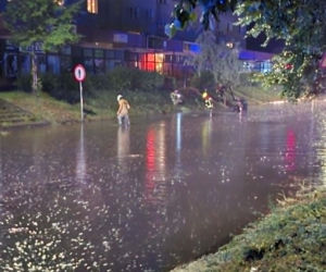 Zalane Starachowice. Widoki po burzy 1.07.2026