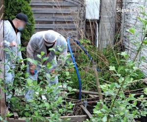 Zabójstwo 11-letniego Sebastiana z Katowic. Policja zatrzymała już sprawcę