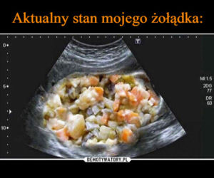 Wielkanoc 2022 - najlepsze memy