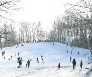 To najlepsza zimowa, darmowa atrakcja w Katowicach. Tłumy na torze saneczkowym