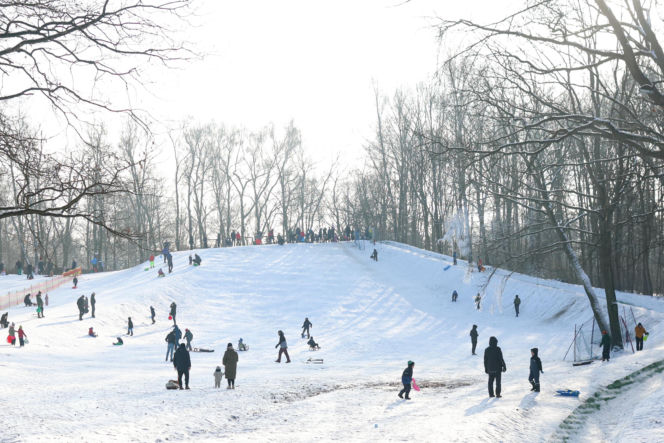 To najlepsza zimowa, darmowa atrakcja w Katowicach. Tłumy na torze saneczkowym