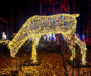 Lumina Park Bydgoszcz