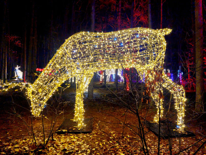 Lumina Park Bydgoszcz