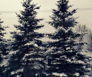 Zima Starachowice 29.11.2020