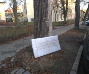 Wielkie śmiecenie na Bydgoskim