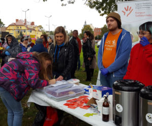 Na Polu Nadziei znów posadzono żonkile