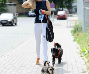 Joanna Krupa sprząta kupy po pupilkach