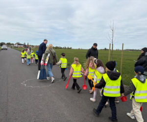 Zazieleni się Trojanowskiego w Lesznie. Przy ulicy posadzono drzewa