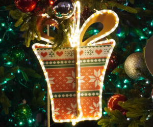 Świąteczne Miasteczko w Rzeszowie już otwarte!