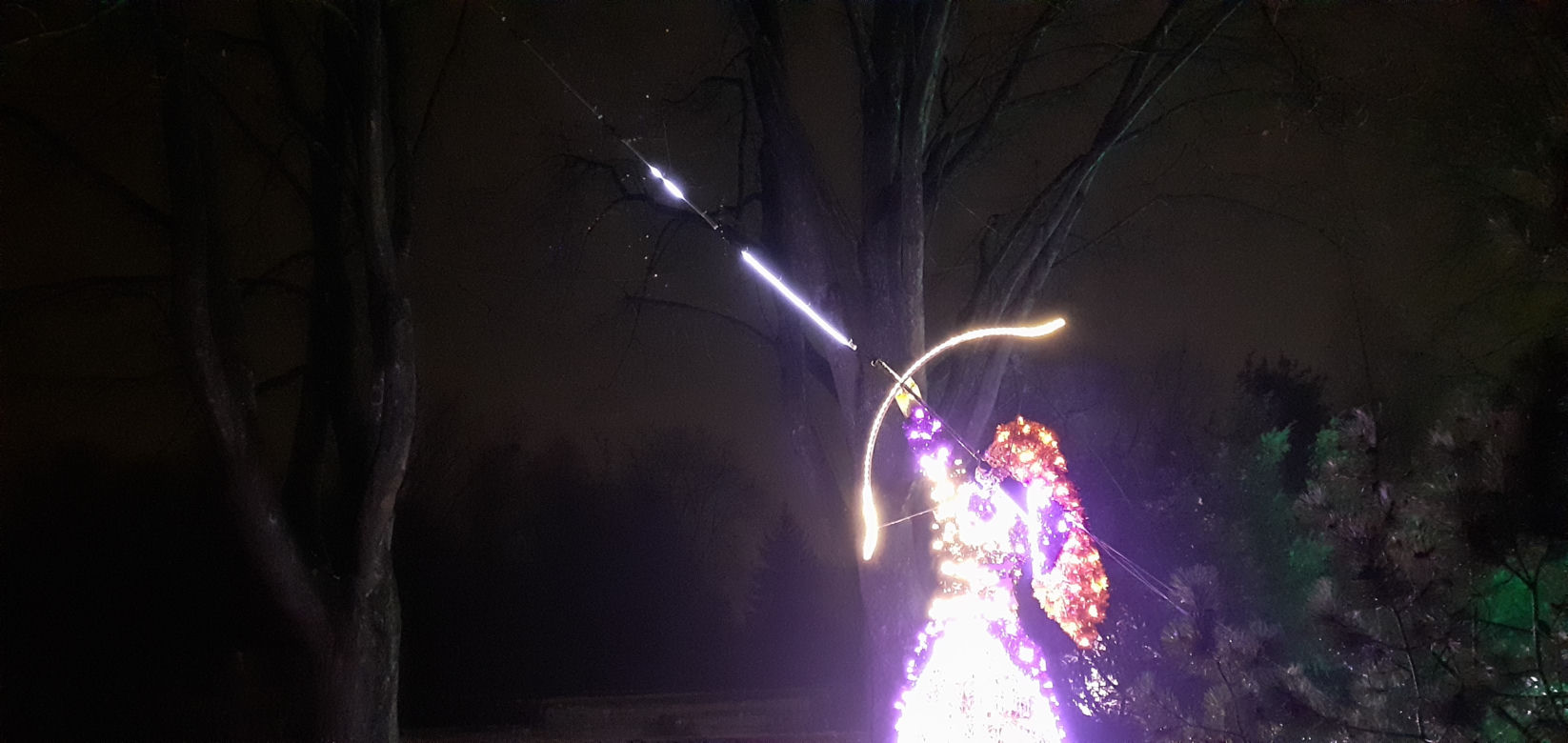 Lumina Park w Ogrodzie Botanicznym UMCS w Lublinie